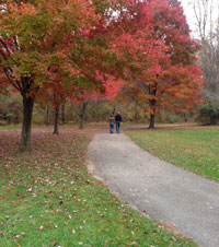 Walking Together